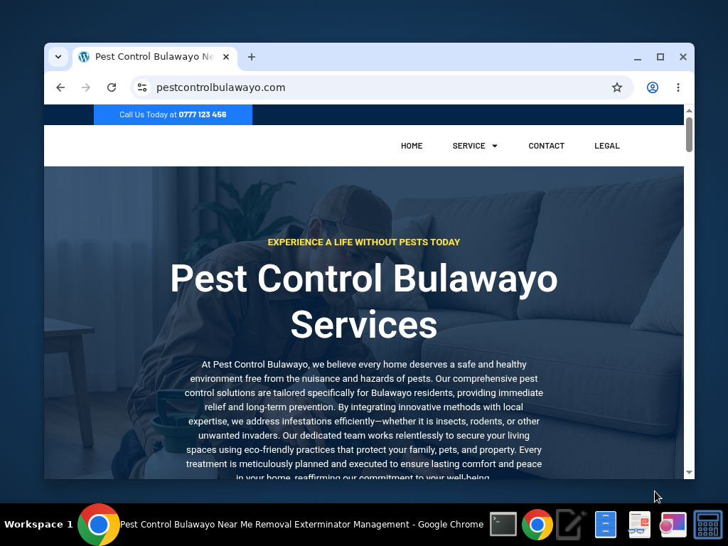 Pest Control Bulawayo